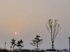 -青岛石老人海水浴场
