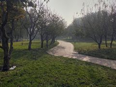 -五环公园