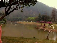 android_upload_pic-南沙天后宫景区