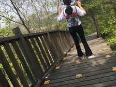 -帽儿山国家森林公园