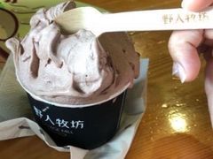 -野人牧坊Gelato(天津南开大悦城店)