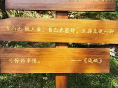 -边城茶峒景区