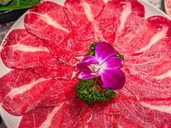 -禄婶鸡煲·打边炉