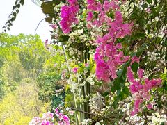 -深圳国际园林花卉博览园