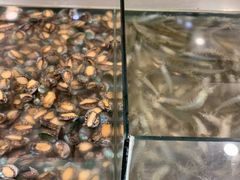 -孙家码头海鲜自助美食城
