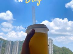 百香果-胖老爹美式炸鸡(远洋旗舰店)
