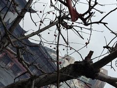 -霖公馆SPA·足道(普善路店)