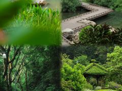 -云溪植物园
