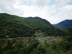 -四明山国家森林公园