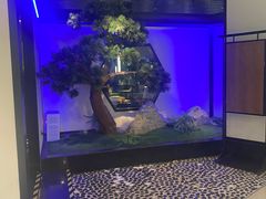 -绿茶餐厅(成都大悦城店)