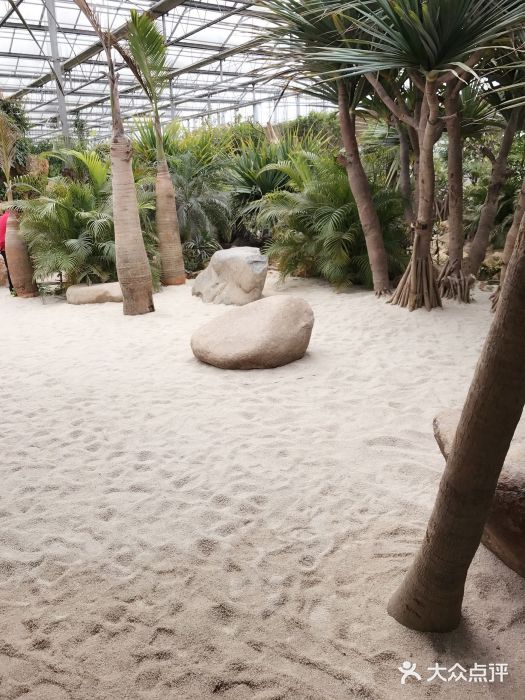 南通洲际绿博园图片