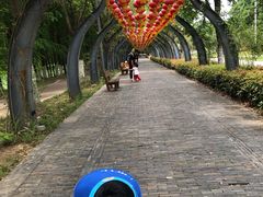 -武汉园博园(武汉自然博物馆)