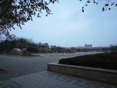 -山东理工大学