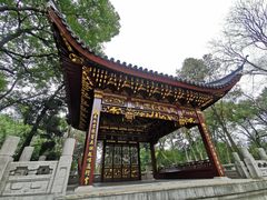 -汇龙潭
