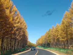 -塞罕坝国家级自然保护区