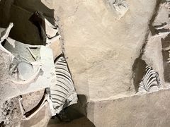 -洛阳周王城天子驾六博物馆