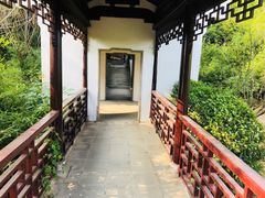 -八大山人梅湖景区