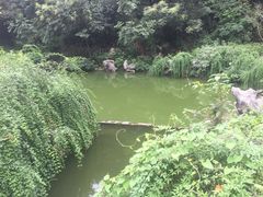 -杭州西湖风景名胜区-三生石