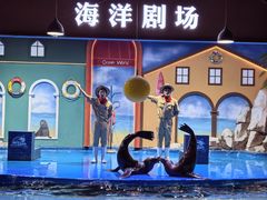 -重庆欢乐海底世界