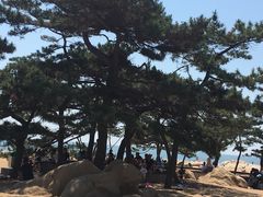 -老虎石海上公园