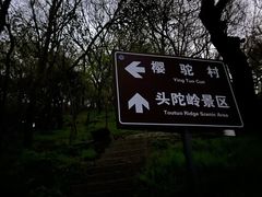 -紫金山山顶公园