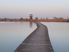-盐城丹顶鹤湿地生态旅游区