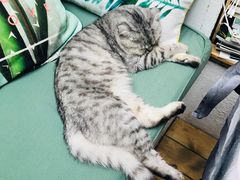 -拾壹cafe·工作室