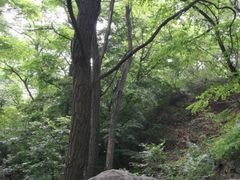 -阳台山自然风景区