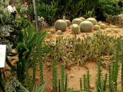 -兰陵国家农业公园