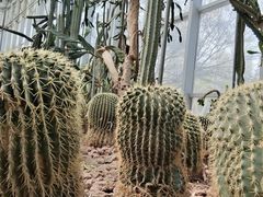 -郑州植物园