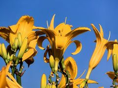 -汉长安城未央宫国家考古遗址公园