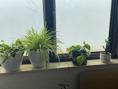 -上海爱以德护理院·康复(宝山院)