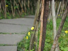 -成都杜甫草堂博物馆