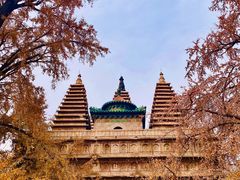 -北京石刻艺术博物馆(五塔寺)