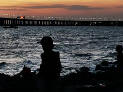 -宝安西湾红树林湿地公园