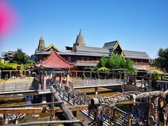 -北京呀路古热带植物园