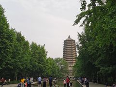 -玲珑塔公园