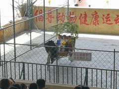 -东方熊牧场