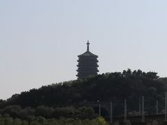 -永定河休闲森林公园