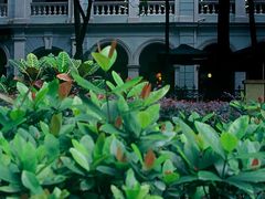 门面-星巴克臻选(广州沙面店)