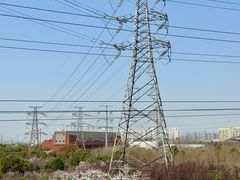 -外高桥保税区南(地铁站)