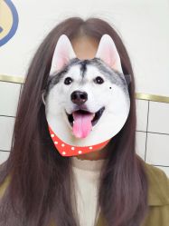 -镁连社·美联社