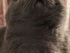-中农大我爱我爱动物医院·核磁CT·猫病·24小时夜诊中心(石佛营店)