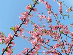 -东山湖温泉度假村