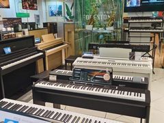 -柏斯琴行(汾阳店)