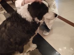 -哈尔滨北方国际青年旅舍(中央大街店)