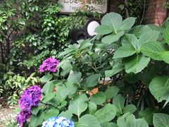 -西村咖啡店 (中山手本店)