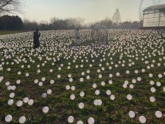 -祥源·阜阳生态乐园