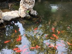 -恭王府博物馆