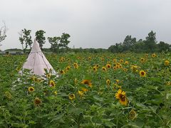 -嘉北郊野公园